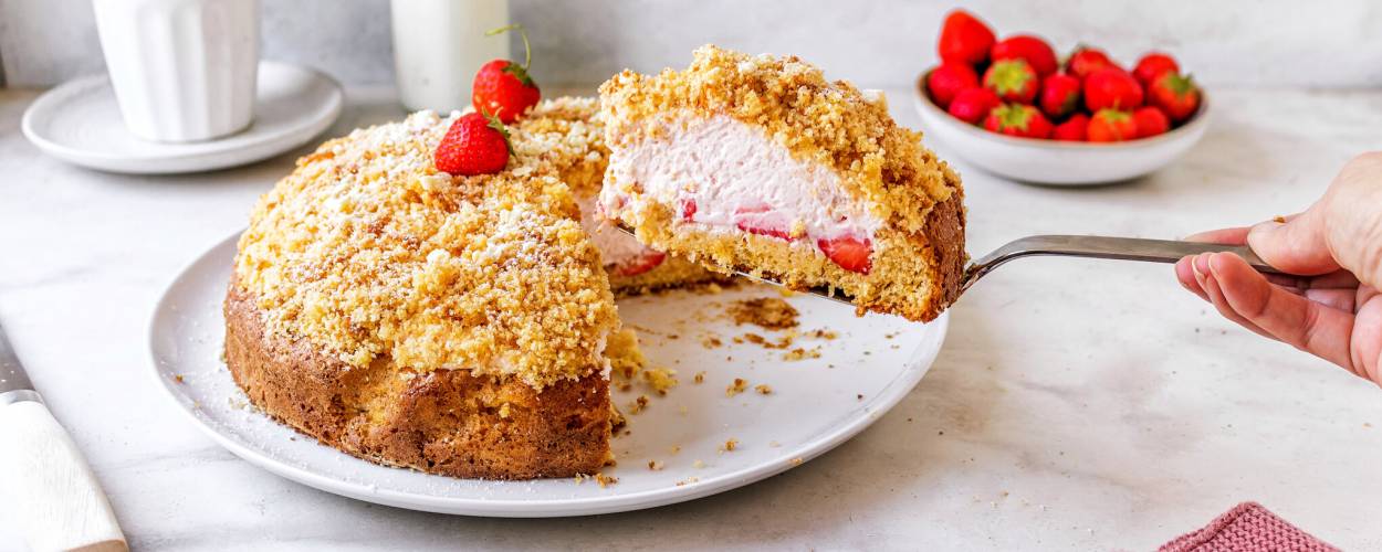 Erdbeer-Maulwurfkuchen-Traum