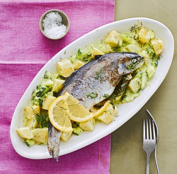 Forelle mit Kartoffel-Gurken-Gemüse