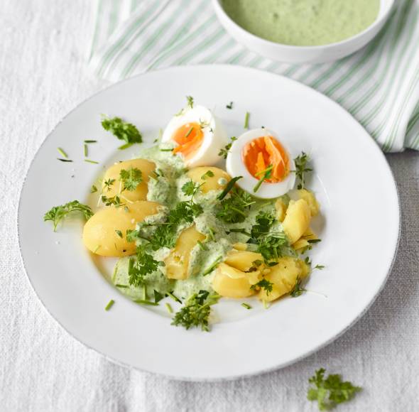 Frankfurter grüne Soße mit Kartoffeln und Ei