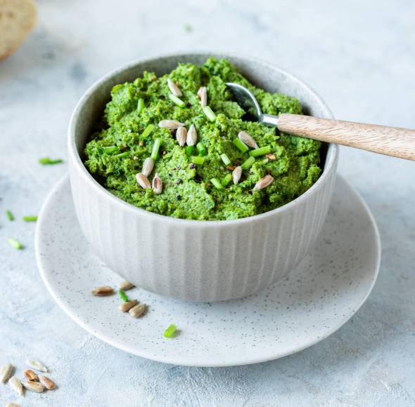 Rezeptsammlung: Dips &amp; Aufstriche im Monsieur Cuisine | ZauberMix