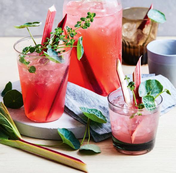 Rhabarber-Ingwer-Limonade