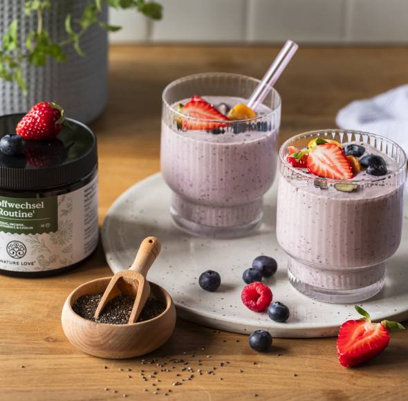 Zwei Smoothies mit Beeren, daneben Ergänzungsmittel