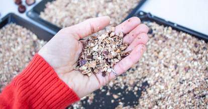 Lege dir einen Vorrat an Kastanienwaschmittel an