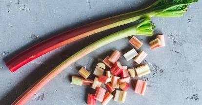 Rhabarberstangen und -stücke auf grauem Untergrund