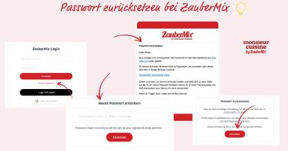 Passwort zurücksetzen, Screenshots vom Prozess