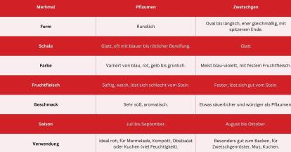 Tabelle Übersicht Unterschied Zwetschgen und Pflaumen
