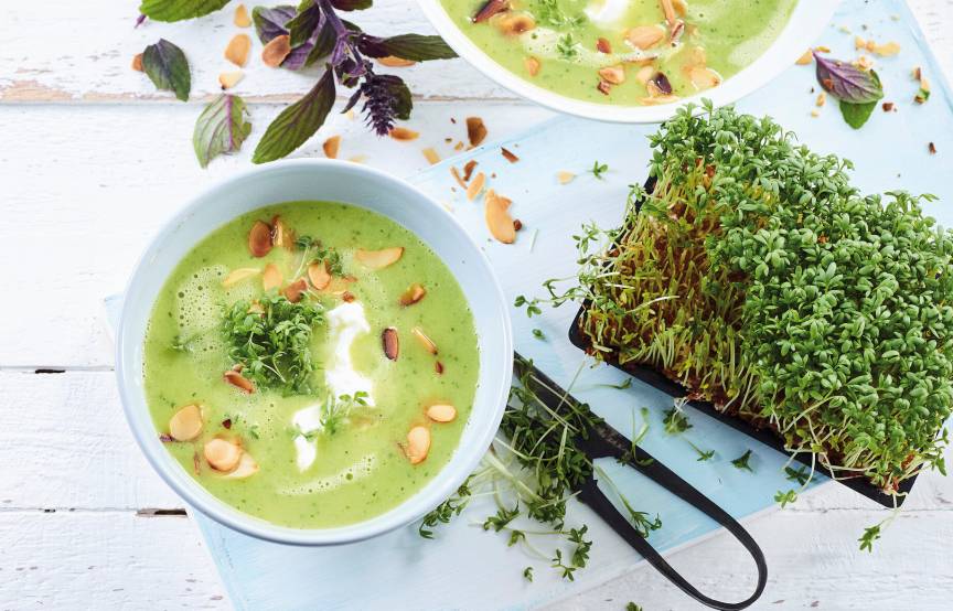 Zucchini-Cremesuppe | ZauberMix Zucchini-Cremesuppe | ZauberMix