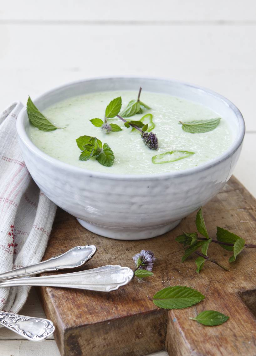 Gurkensuppe so einfach im Monsieur Cuisine | ZauberMix Gurkensuppe so einfach im Monsieur Cuisine | ZauberMix