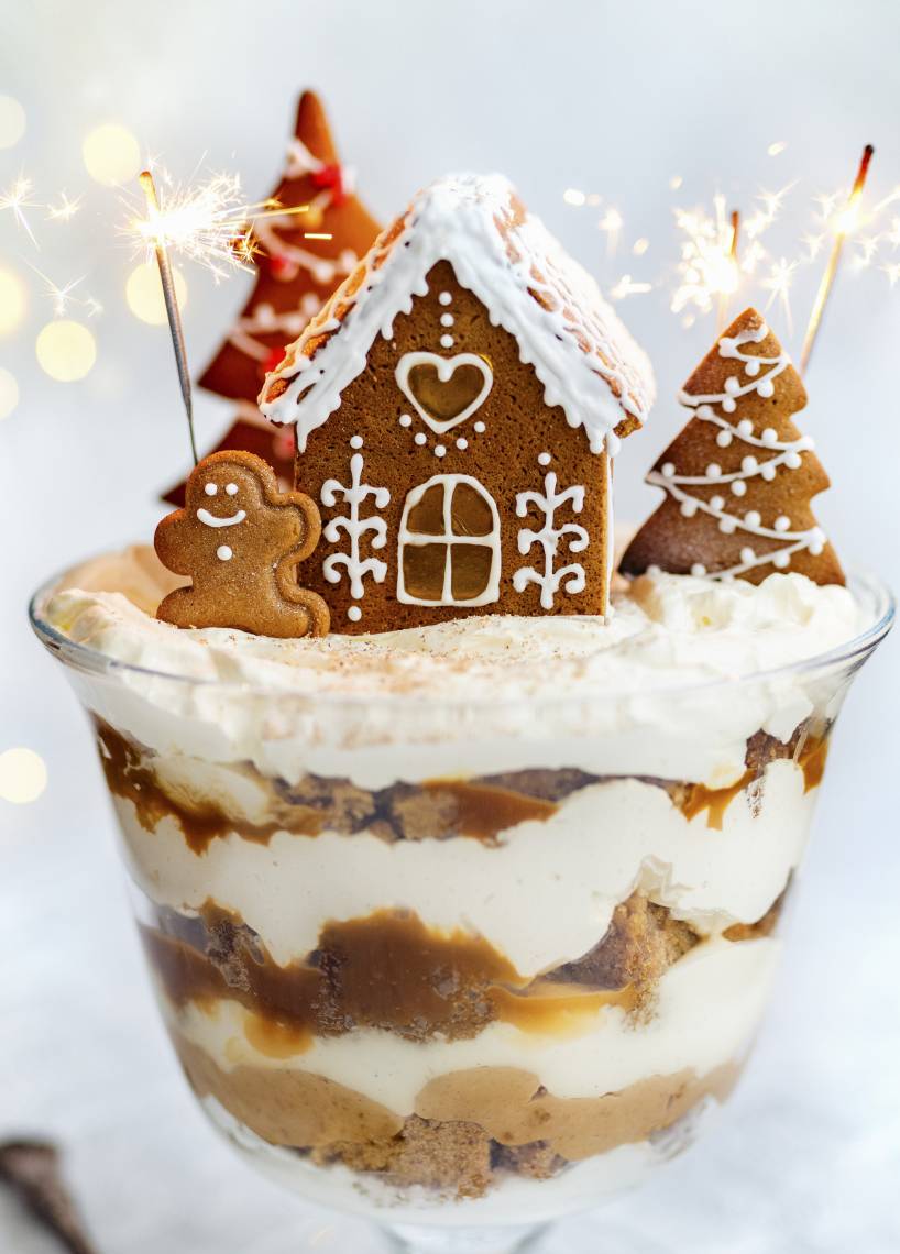 Lebkuchen-Schichtdessert im Monsieur Cuisine | ZauberMix Club