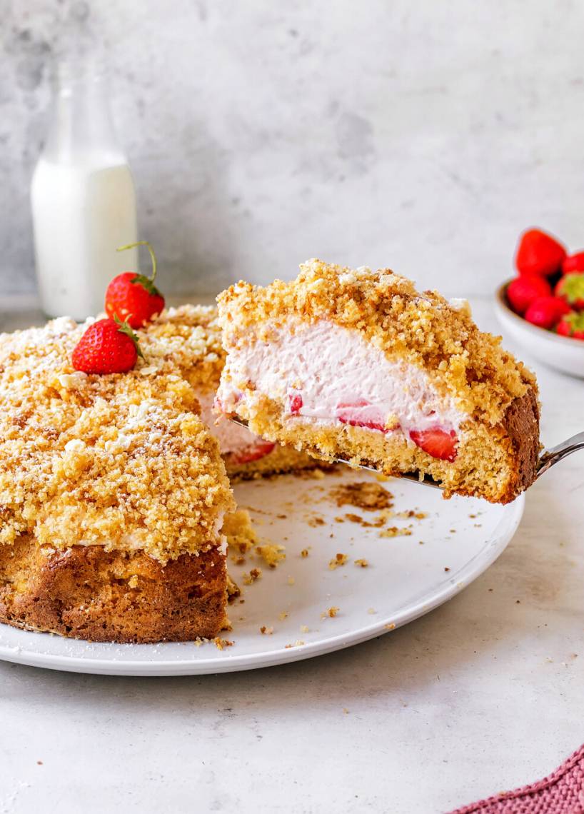 Erdbeer-Maulwurfkuchen-Traum